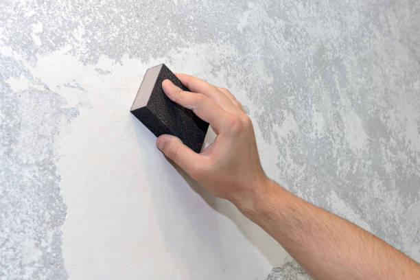 Best Biohazard Mold Removal  in Bayville, NY
