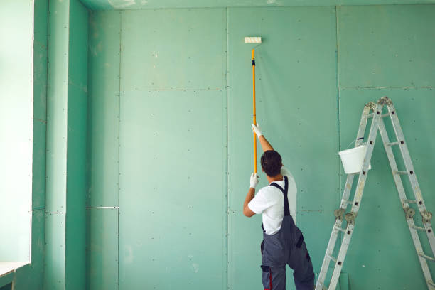 Trusted Bayville, NY Mold Removal Experts