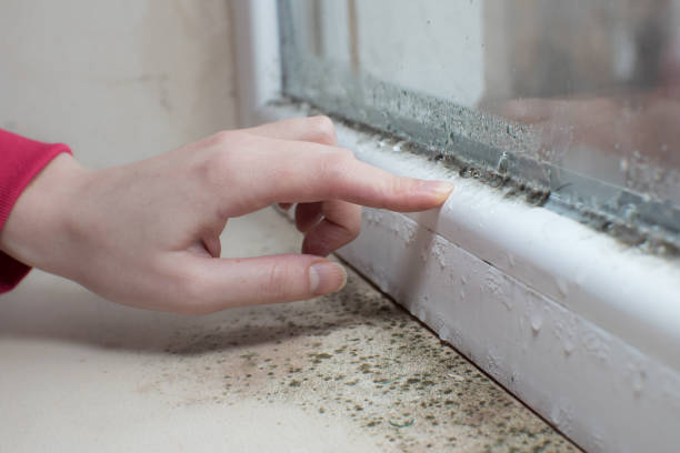 Best Post-Remediation Verification Testing  in Bayville, NY