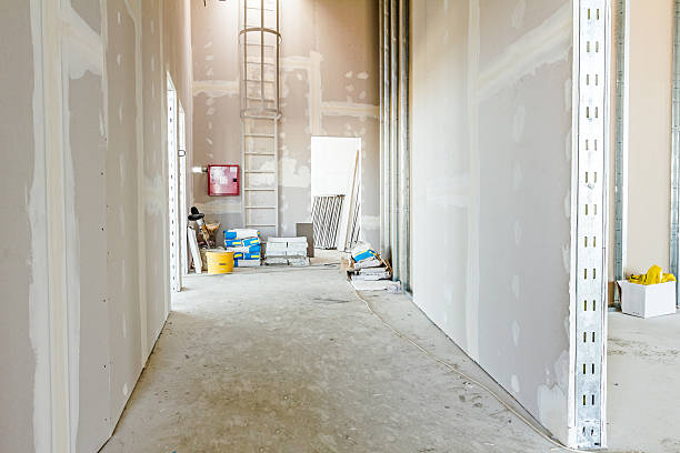 Best Crawl Space Mold Remediation  in Bayville, NY